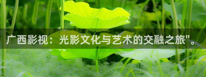 樱桃种植方法视频：广西影视：光影文化与艺术的交融之旅\