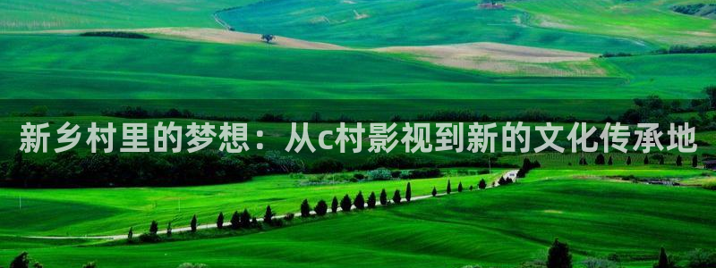 樱桃精品：新乡村里的梦想：从c村影视到新的文化传承地