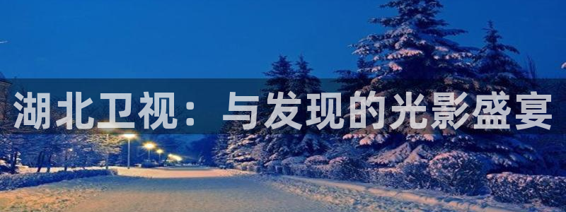 电影版的樱桃：湖北卫视：与发现的光影盛宴