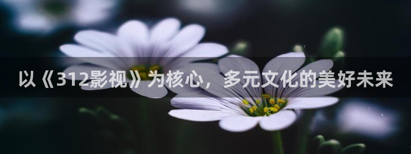 樱桃小视频在线免费观看：以《312影视》为核心，多元文化的美好未来