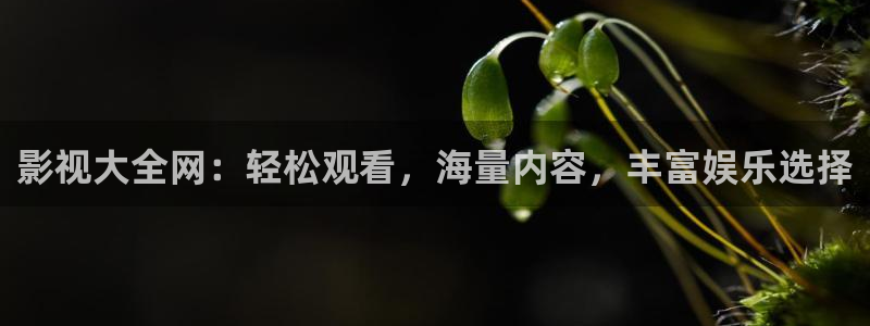 大樱桃樱桃：影视大全网：轻松观看，海量内容，丰富娱乐选择