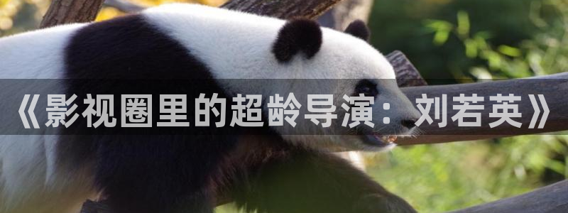 樱桃视频 免费：《影视圈里的超龄导演：刘若英》