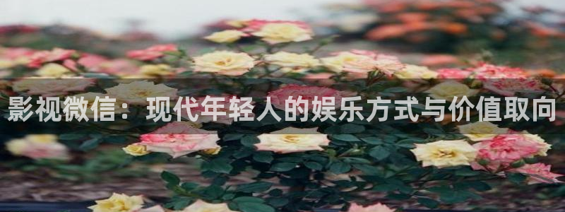 草莓樱桃向日葵视频：影视微信：现代年轻人的娱乐方式与价值取向