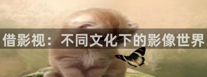 樱桃视频高清免费观看在线播放：借影视：不同文化下的影像世界